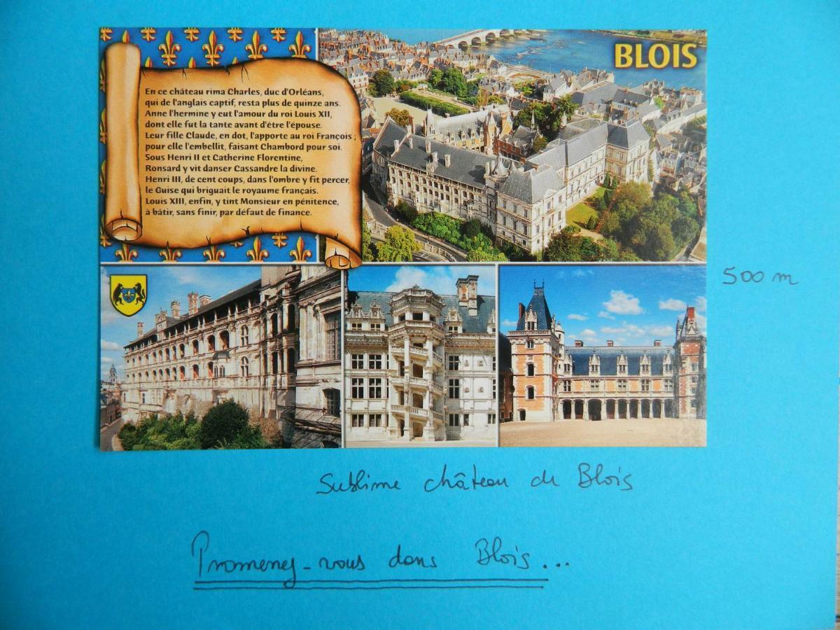 Les Lumieres De La Loire Apartment Blois Ngoại thất bức ảnh